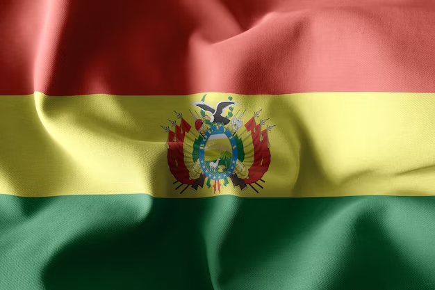 Main img Взыскание долга в Боливии