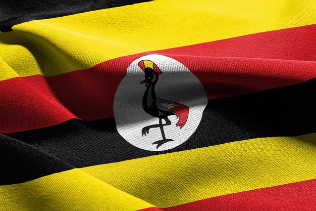 Main img Cobro de deudas en Uganda