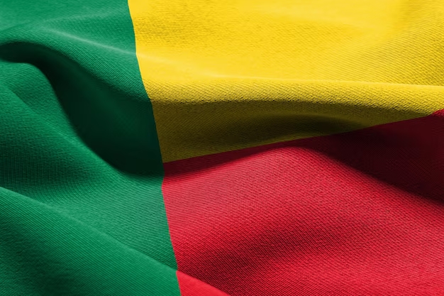 Main img Inkasso in Benin