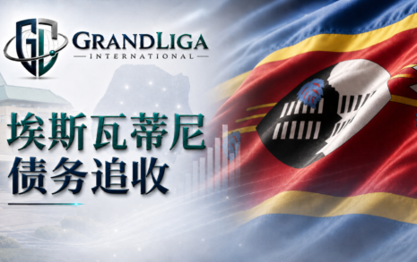 Image category 埃斯瓦提尼的债务追收